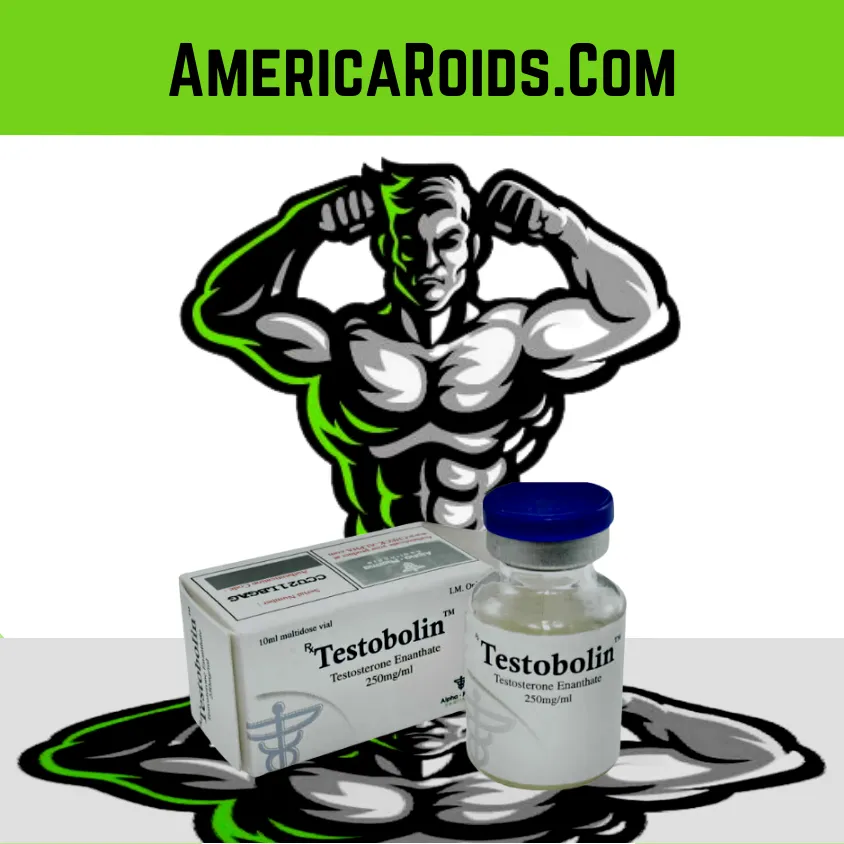Testosterone Enanthate 250 mg vial by Alpha Pharma