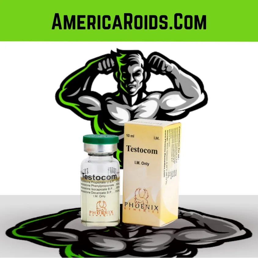 Sustanon 375 mg/ml 10ml vial