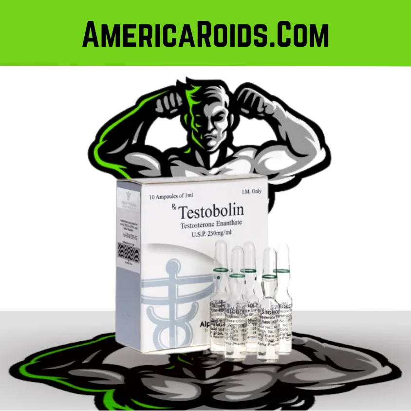 Testosterone Enanthate 250 mg by Alpha Pharma