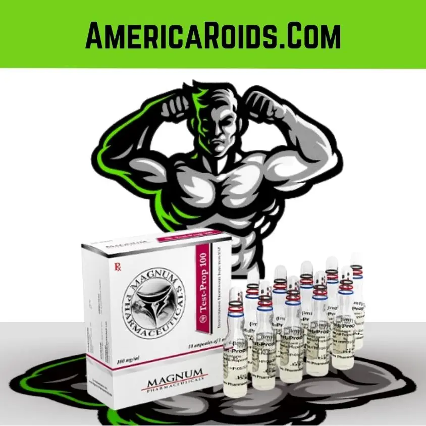 Testosterone Propionate 100 mg/ml Magnum
