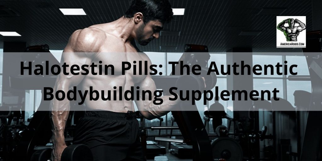 Halotestin Pills: The Authentic Bodybuilding Supplement